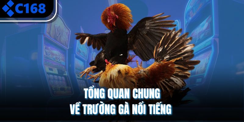 Tổng quan chung về trường gà nổi tiếng